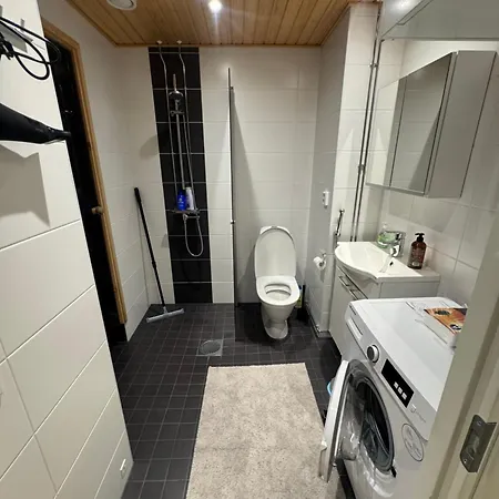 Lapland Iii With Wi-fi, Sauna, Free Parking Next To The Railway Station *